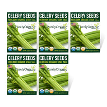Load image into Gallery viewer, Celery, Utah Tall - Organic
