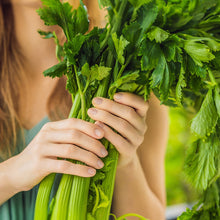 Load image into Gallery viewer, Celery, Utah Tall - Organic