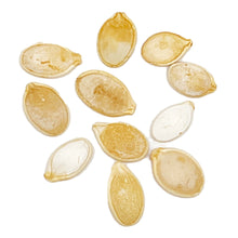 Load image into Gallery viewer, Pumpkin, Cinderella Seeds - Organic