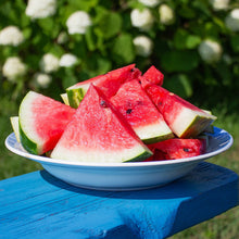 Load image into Gallery viewer, Watermelon, Crimson Sweet - Organic
