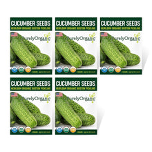 Load image into Gallery viewer, Cucumber, Boston Pickling - Organic