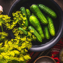 Load image into Gallery viewer, Cucumber, Boston Pickling - Organic