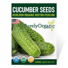 Load image into Gallery viewer, Cucumber, Boston Pickling - Organic