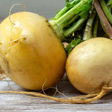 Load image into Gallery viewer, Turnip, Golden Globe - Organic