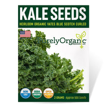 Load image into Gallery viewer, Kale, Vates Blue Scotch Curled - Organic