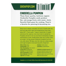 Load image into Gallery viewer, Pumpkin, Cinderella Seeds - Organic