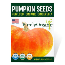 Load image into Gallery viewer, Pumpkin, Cinderella Seeds - Organic