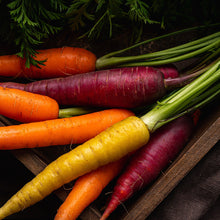 Load image into Gallery viewer, Carrot, Rainbow Blend - Organic