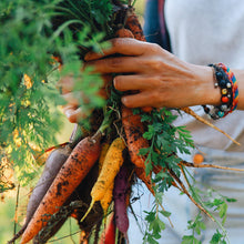 Load image into Gallery viewer, Carrot, Rainbow Blend - Organic