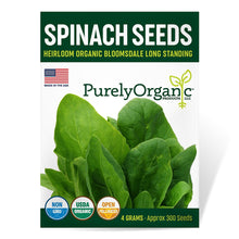 Load image into Gallery viewer, Spinach, Bloomsdale - Organic