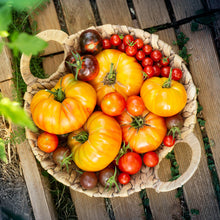 Load image into Gallery viewer, Tomato, Pineapple - Organic