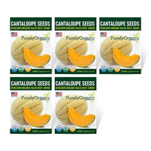 Load image into Gallery viewer, Cantaloupe, Hales Best Jumbo - Organic