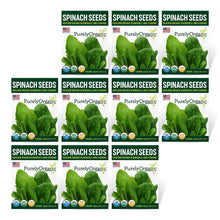 Load image into Gallery viewer, Spinach, Bloomsdale - Organic