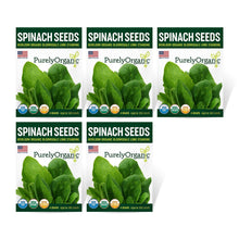 Load image into Gallery viewer, Spinach, Bloomsdale - Organic