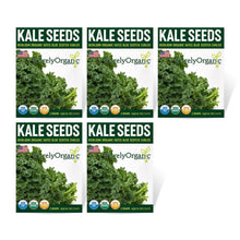 Load image into Gallery viewer, Kale, Vates Blue Scotch Curled - Organic