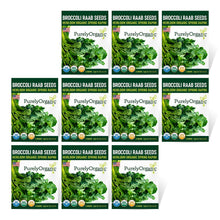 Load image into Gallery viewer, Broccoli Raab - Organic
