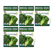 Load image into Gallery viewer, Broccoli, Waltham 29 - Organic