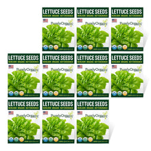 Load image into Gallery viewer, Lettuce, Buttercrunch - Organic
