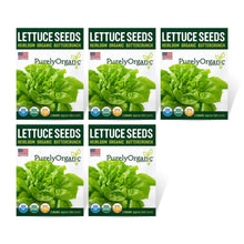 Load image into Gallery viewer, Lettuce, Buttercrunch - Organic