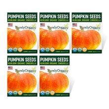 Load image into Gallery viewer, Pumpkin, Cinderella Seeds - Organic