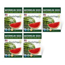 Load image into Gallery viewer, Watermelon, Crimson Sweet - Organic