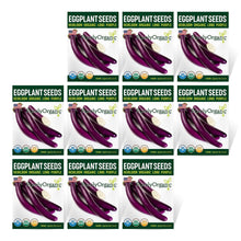 Load image into Gallery viewer, Eggplant, Long Purple Seeds - Organic