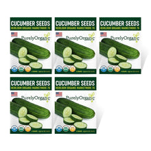 Load image into Gallery viewer, Cucumber, Marketmore 76 - Organic