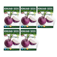 Load image into Gallery viewer, Kohlrabi, Purple Vienna - Organic