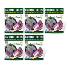 Load image into Gallery viewer, Cabbage, Red Acre - Organic
