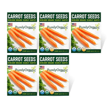Load image into Gallery viewer, Carrot, Scarlet Nantes - Organic