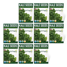 Load image into Gallery viewer, Kale, Vates Blue Scotch Curled - Organic