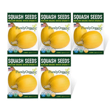 Load image into Gallery viewer, Winter Squash, Spaghetti - Organic