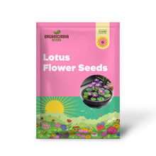Load image into Gallery viewer, Lotus, Premium Purple Seeds