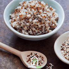 Load image into Gallery viewer, Quinoa, Brightest Brilliant Rainbow