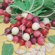Load image into Gallery viewer, Radish, Easter Egg Mix - Organic