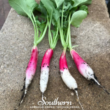 Load image into Gallery viewer, Radish, French Breakfast