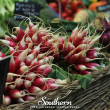 Load image into Gallery viewer, Radish, French Breakfast