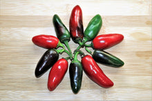 Load image into Gallery viewer, Pepper, Purple Jalapeno - Organic