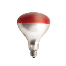 Load image into Gallery viewer, Clamp-On Brooder Heat Lamp