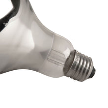 Load image into Gallery viewer, Clamp-On Brooder Heat Lamp