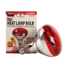 Load image into Gallery viewer, Clamp-On Brooder Heat Lamp