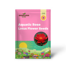 Load image into Gallery viewer, Lotus, Red Seeds