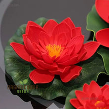 Load image into Gallery viewer, Lotus, Red Seeds