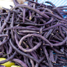 Load image into Gallery viewer, Bean, Royalty Purple Bush - Organic