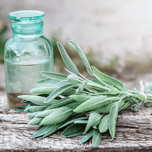 Load image into Gallery viewer, Sage, Kitchen