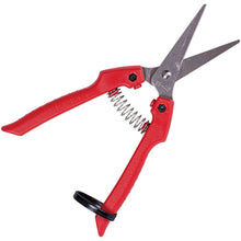 Load image into Gallery viewer, ARS Fruit Harvest Shear Stainless Steel SE-45