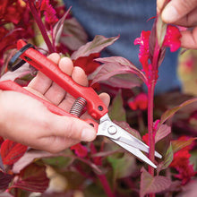 Load image into Gallery viewer, ARS Fruit Harvest Shear Stainless Steel SE-45