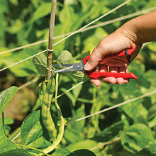 Load image into Gallery viewer, ARS Fruit Harvest Shear Stainless Steel SE-45