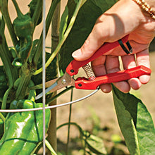 Load image into Gallery viewer, ARS Fruit Harvest Shear Stainless Steel SE-45