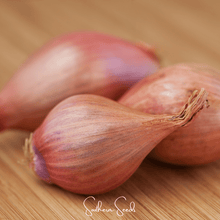 Load image into Gallery viewer, Shallot, Davidor